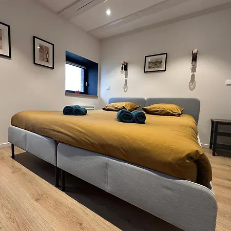 Apartman B'm Hans - Centre Historique - Vue Cathedrale - 2p Colmar